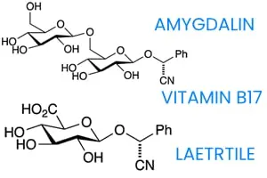 Facts about Amygdalin and Laetrile